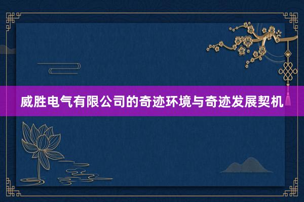 威胜电气有限公司的奇迹环境与奇迹发展契机